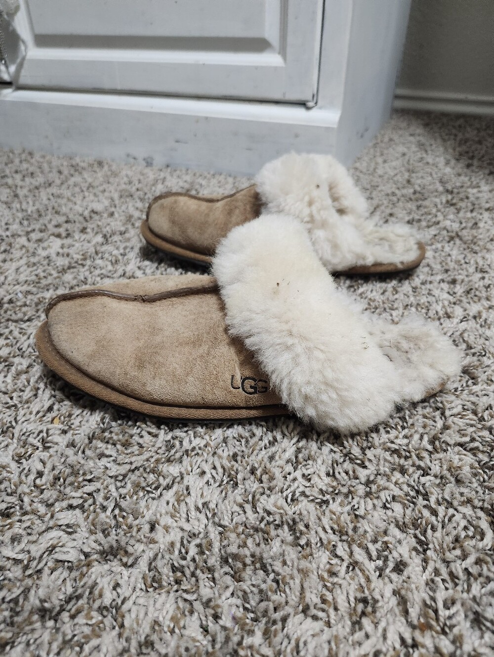 UGG Women's Slipper Mule in Chestnut Suede with Cream Sheepskin Collar